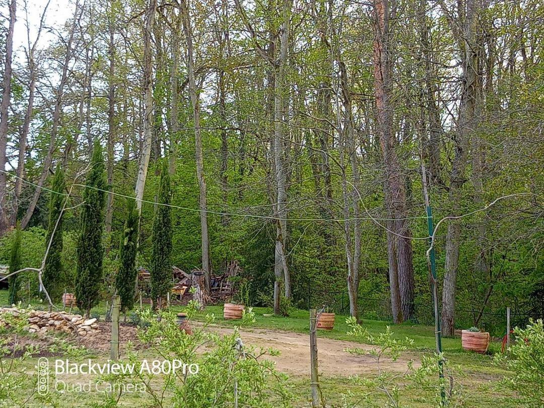 La Sablonniere De Rochefort Bagian luar foto