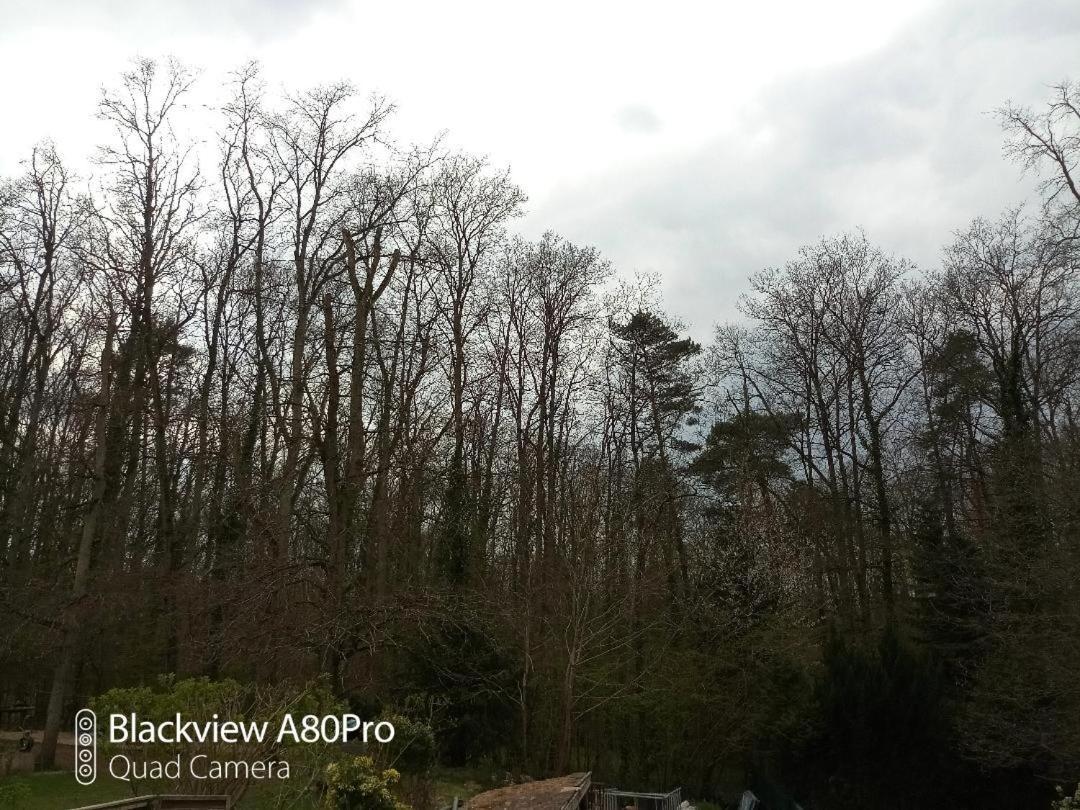La Sablonniere De Rochefort Bagian luar foto